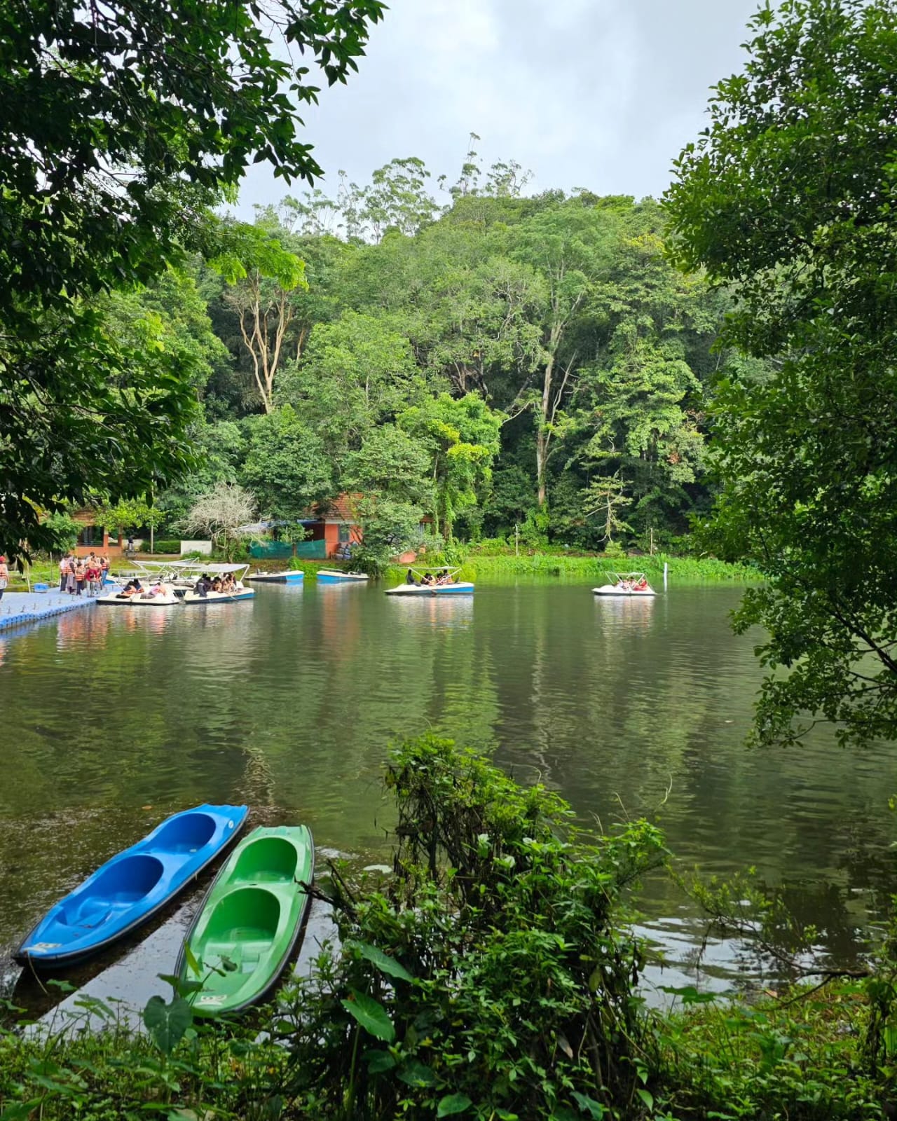 Pookode lake
